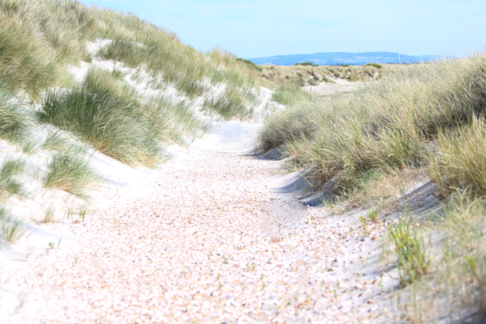 Easthead Counselling in Hampshire